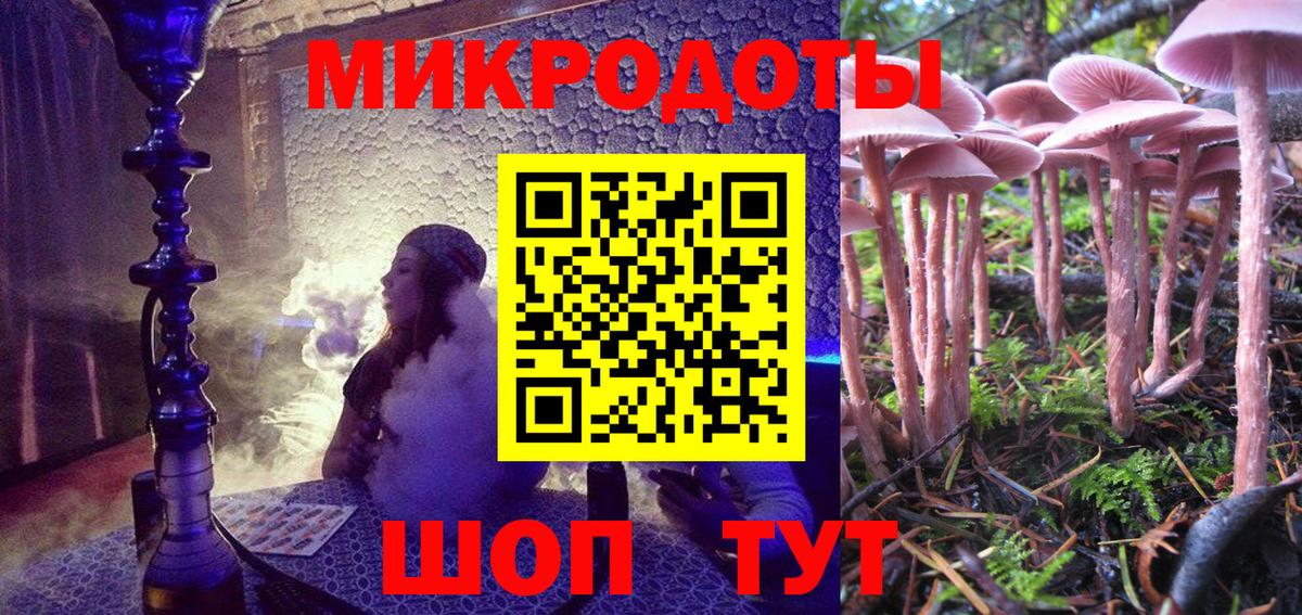 Галлюциногенные грибы Psilocybine cubensis Ноябрьск